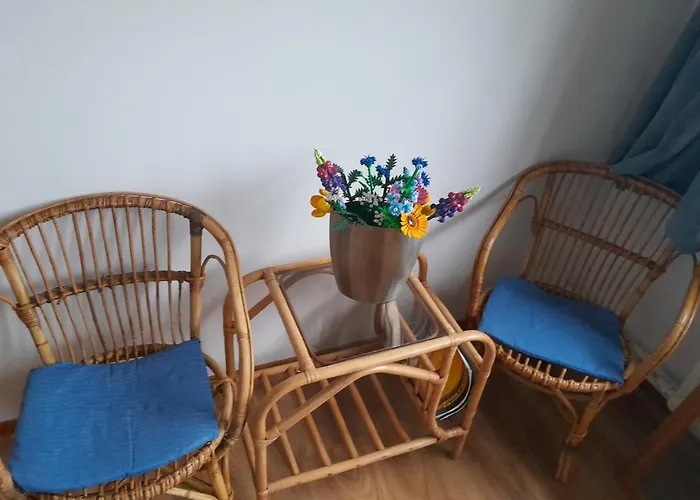 Le Ludenne, Ludique En Ardenne * Durbuy